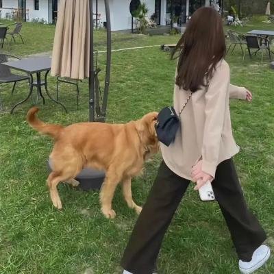 春满兰宫
