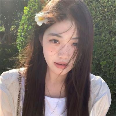 铁拳：血脉