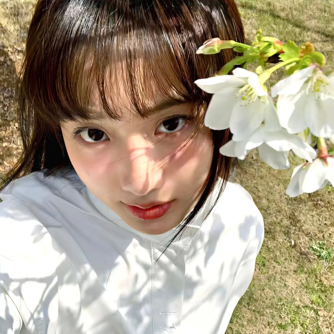 开膛少女的异想世界